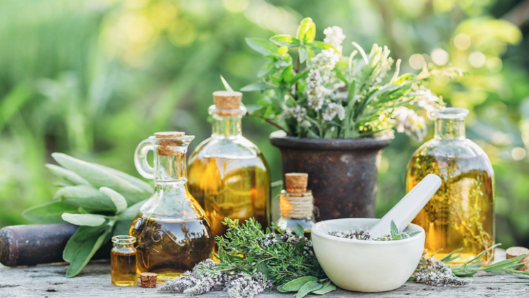 Atelier de plantes médicinales et d'huiles essentielles